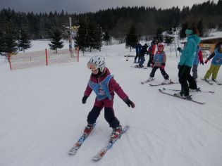 Fotografie p2070056_original.jpg