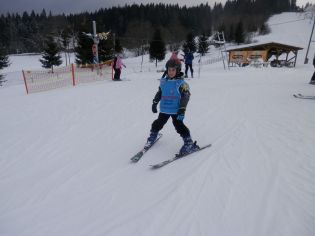 Fotografie p2070060_original.jpg