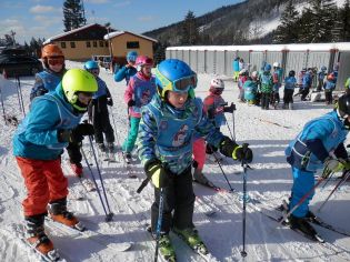 Fotografie p2080064_original.jpg