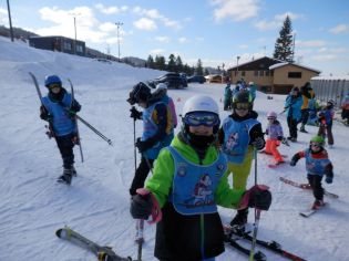 Fotografie p2080066_original.jpg