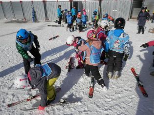 Fotografie p2080067_original.jpg