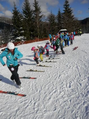 Fotografie p2080068_original.jpg