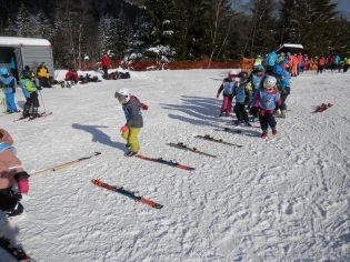 Fotografie p2080069_original.jpg