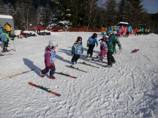 Fotografie p2080070_original.jpg