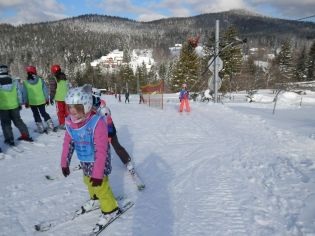 Fotografie p2080075_original.jpg