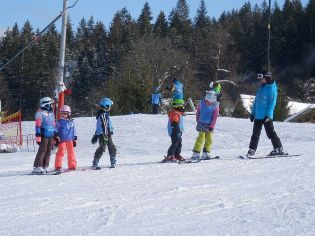 Fotografie p2080080_original.jpg