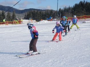 Fotografie p2080081_original.jpg