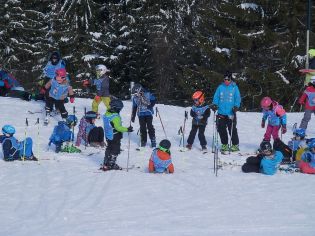 Fotografie p2080083_original.jpg