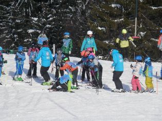 Fotografie p2080084_original.jpg