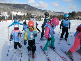 Fotografie p2080086_original.jpg