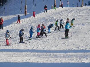 Fotografie p2080110_original.jpg