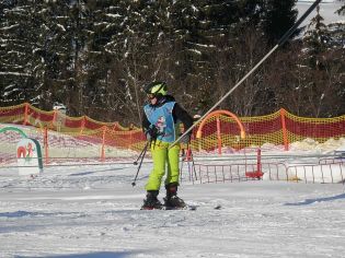 Fotografie p2080114_original.jpg