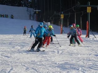 Fotografie p2080118_original.jpg