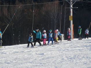 Fotografie p2080126_original.jpg