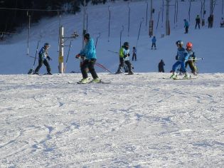 Fotografie p2080127_original.jpg