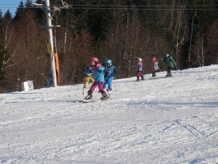 Fotografie p2080130_original.jpg