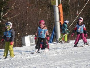 Fotografie p2080131_original.jpg