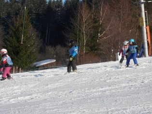 Fotografie p2080132_original.jpg