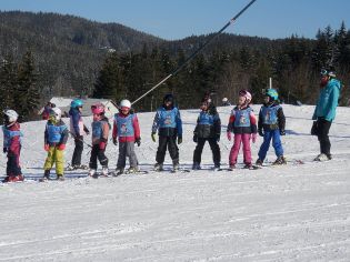 Fotografie p2090141_original.jpg