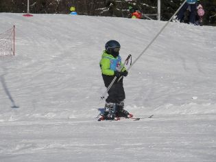 Fotografie p2090144_original.jpg