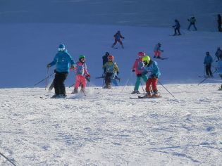 Fotografie p2090146_original.jpg