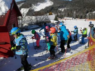 Fotografie p2090153_original.jpg