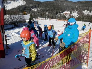 Fotografie p2090154_original.jpg