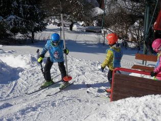 Fotografie p2090158_original.jpg