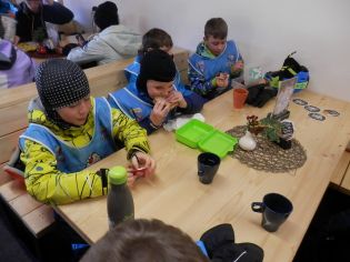 Fotografie p2090179_original.jpg