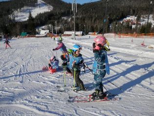 Fotografie p2090183_original.jpg