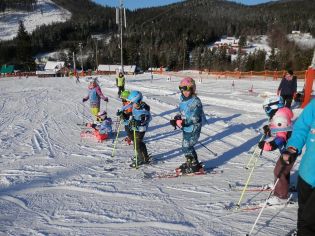 Fotografie p2090184_original.jpg