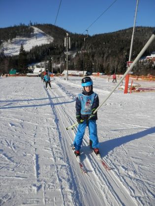 Fotografie p2090187_original.jpg