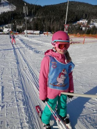 Fotografie p2090191_original.jpg