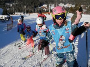 Fotografie p2090195_original.jpg