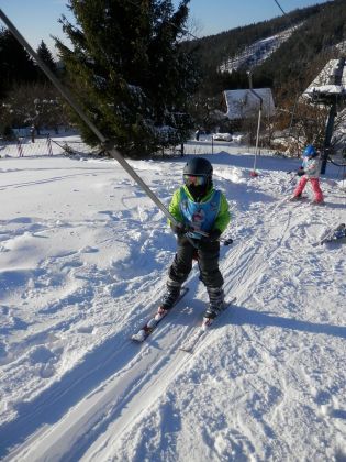 Fotografie p2090209_original.jpg