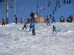 Fotografie p2090212_original.jpg