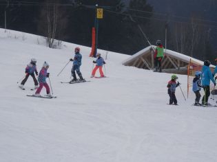 Fotografie p2100220_original.jpg