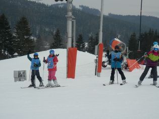 Fotografie p2100221_original.jpg