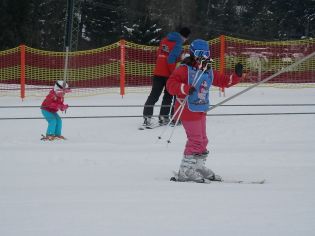 Fotografie p2100232_original.jpg