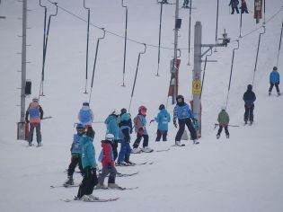 Fotografie p2100234_original.jpg