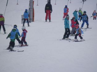 Fotografie p2100235_original.jpg