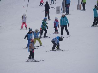 Fotografie p2100237_original.jpg