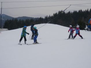 Fotografie p2100242_original.jpg