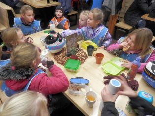 Fotografie p2100243_original.jpg