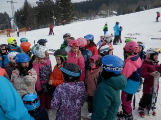 Fotografie p2100250_original.jpg