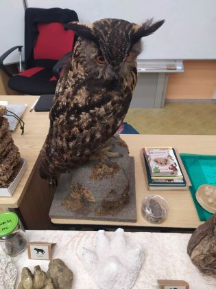 Fotografie 331898894_723620892739535_33954189297585_original.jpg