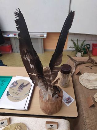 Fotografie 331962226_875333257028791_32158447119504_original.jpg