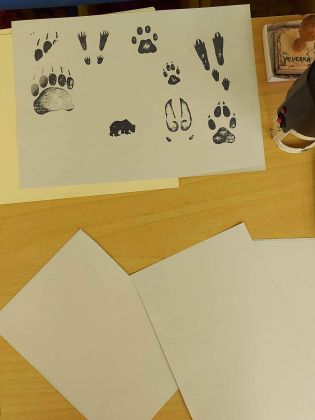 Fotografie 332004634_878423946774593_59018894886463_original.jpg