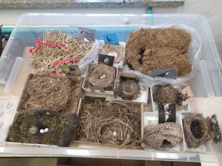 Fotografie 332019480_1199657260663433_1041642214707_original.jpg