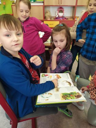 Fotografie 01_original.jpeg